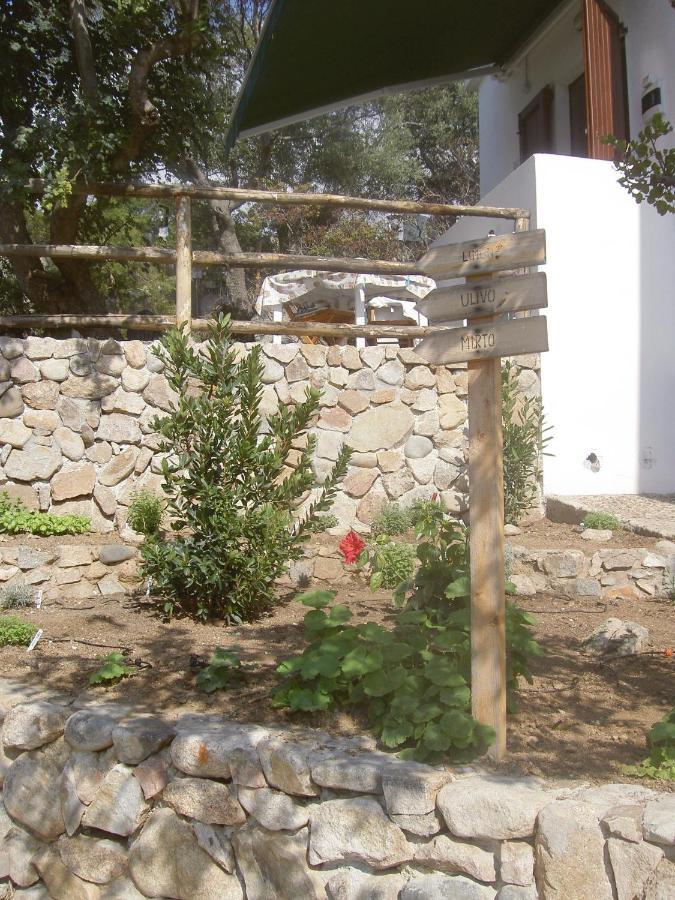 Ulivo Apartment Quartu SantʼElena Екстериор снимка