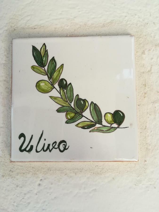 Ulivo Apartment Quartu SantʼElena Екстериор снимка